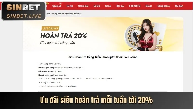 Hoàn trả cá cược Shbet